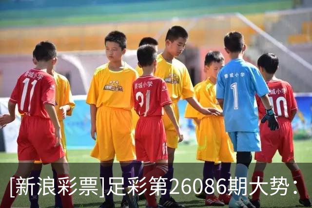 [新浪彩票]足彩第26086期大势：法国建议防平